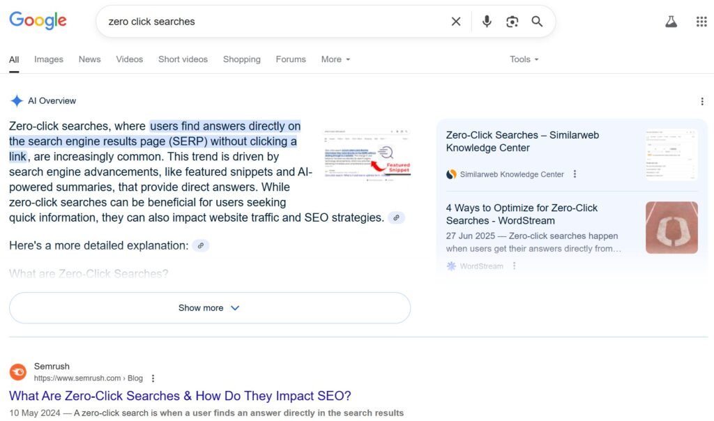 Google AI Overview Result