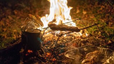 a cosy campfire