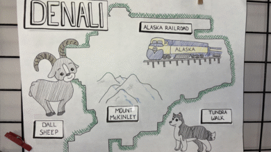 Hand drawn poster of Denali and the top things to see there.